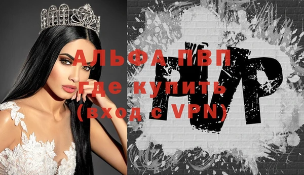 молекула духа Алексин