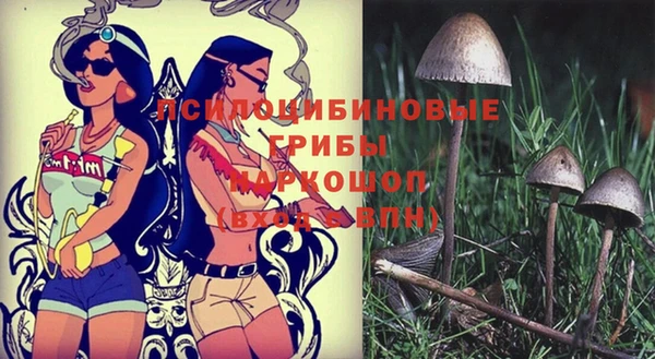 молекула духа Алексин